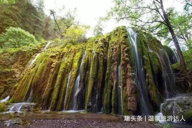 拯救垒球运动员
