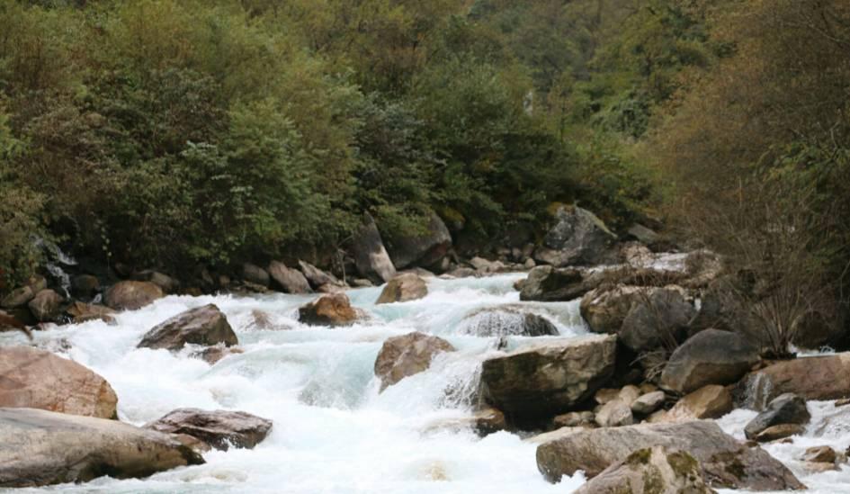 患灼口综合征舌烧灼痛、辣痛、刺痛、钝痛怎么办？游戏画面